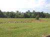 882 Twinforks Ave photo
